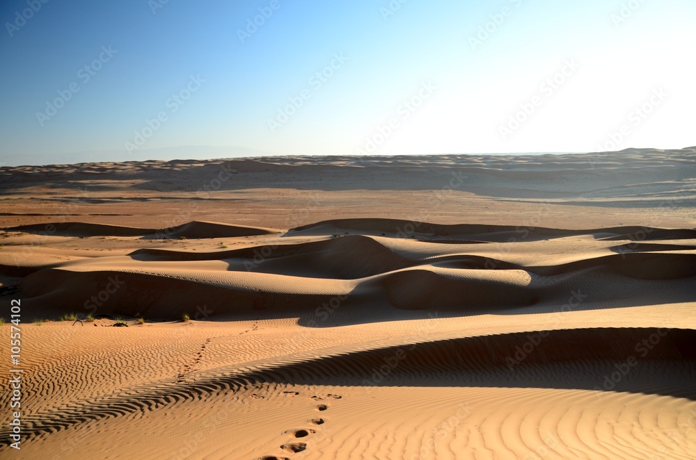 Fototapeta premium Rippled sand dunes at sunset India