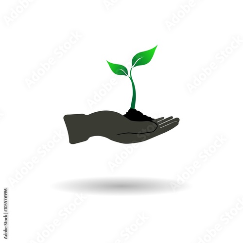 Young plant in one hand, logo, vector