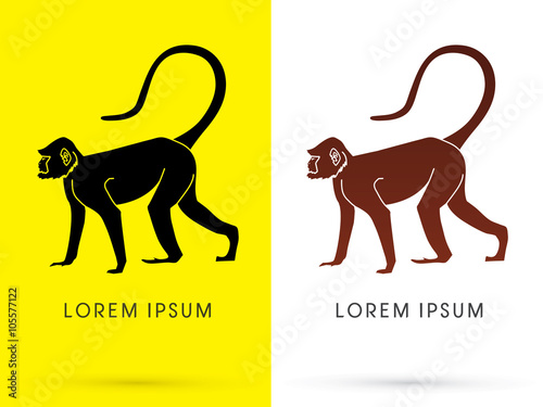 Silhouette Monkey, sign ,logo, symbol, icon, graphic, vector.
 photo