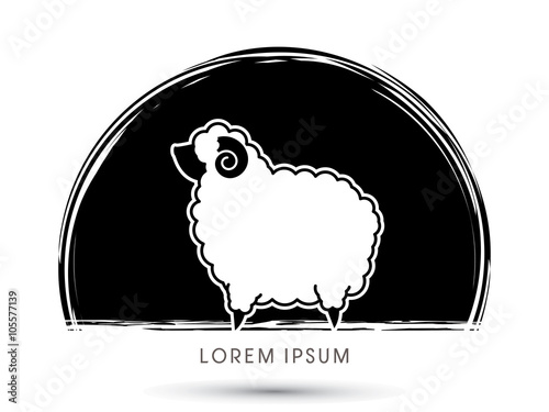 Sheep graphic vector.
