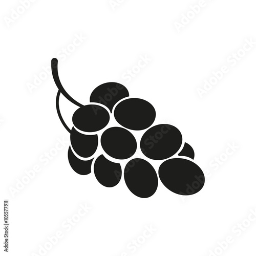 Vector illustration of grapes isolated on white background
