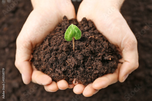 Male hands holding soil and plant on black background