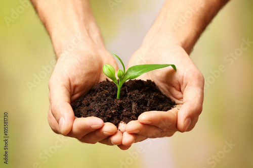 Male hands holding plant and soil on natural background