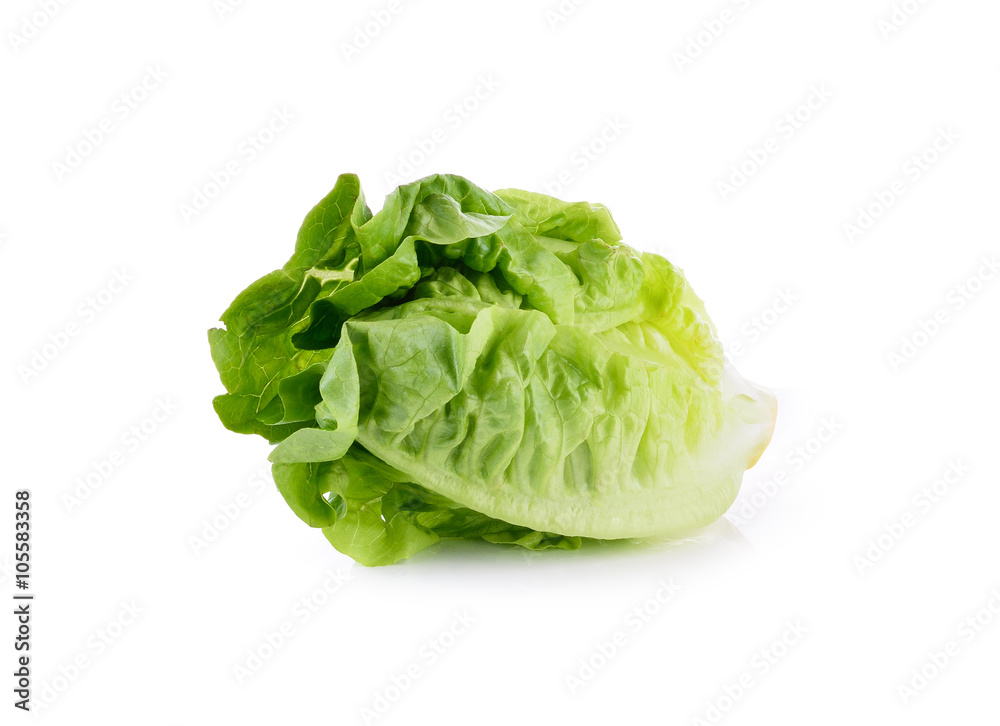Romain Lettuce isolated on a white background Romain Lettuce isolated on a white background