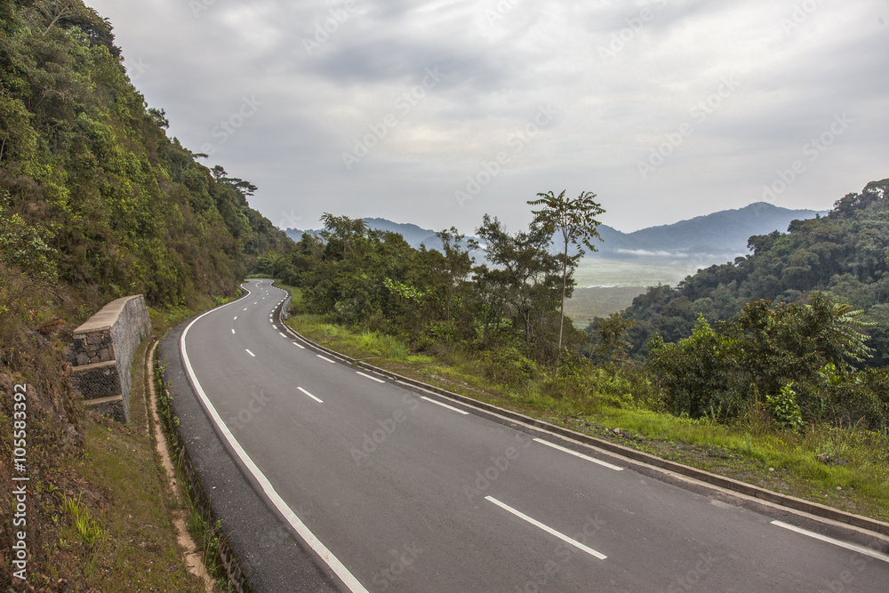 Ruanda Yağmur Ormanları Yolu