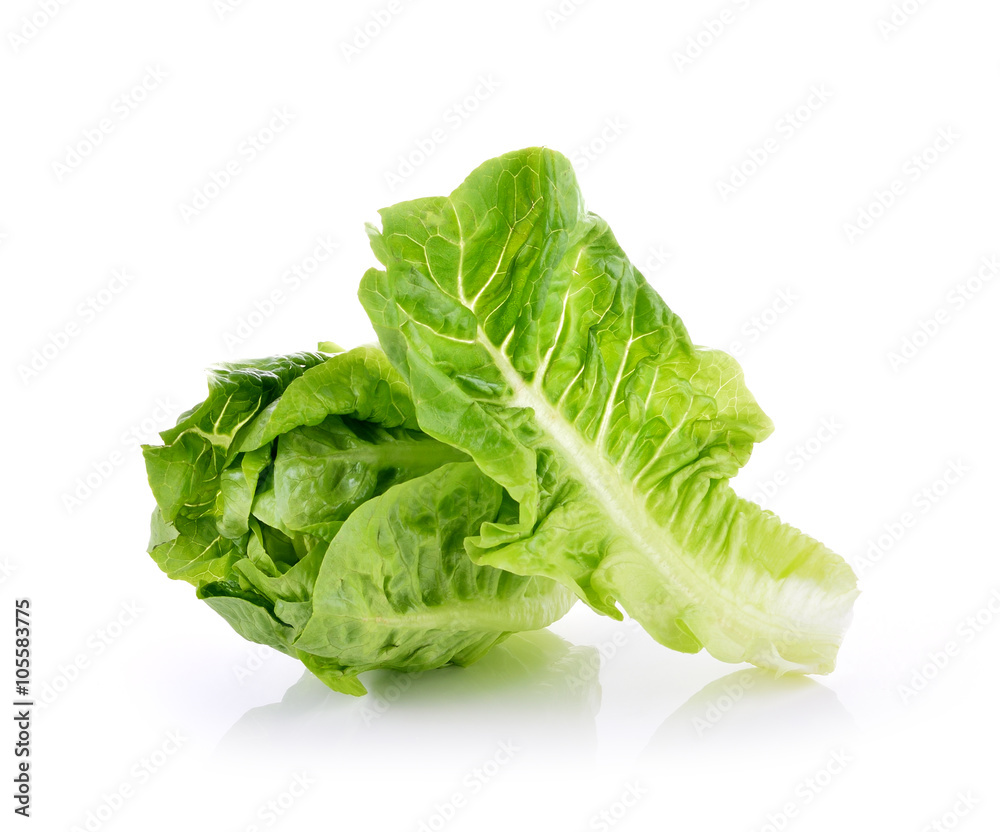 Romain Lettuce isolated on a white background Romain Lettuce isolated on a white background