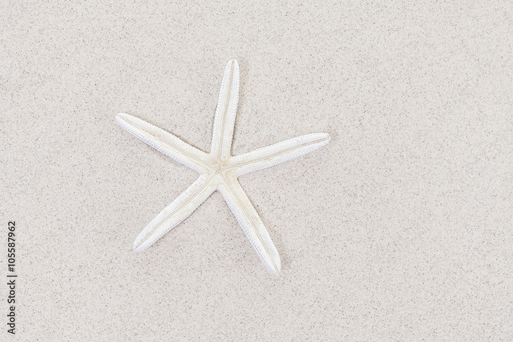 White starfish on sand, space for text White starfish on sand, space for text