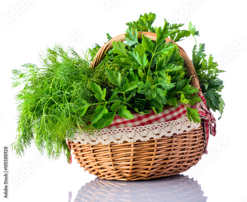 Basket Green Herbs Dill and Parsley on White Background