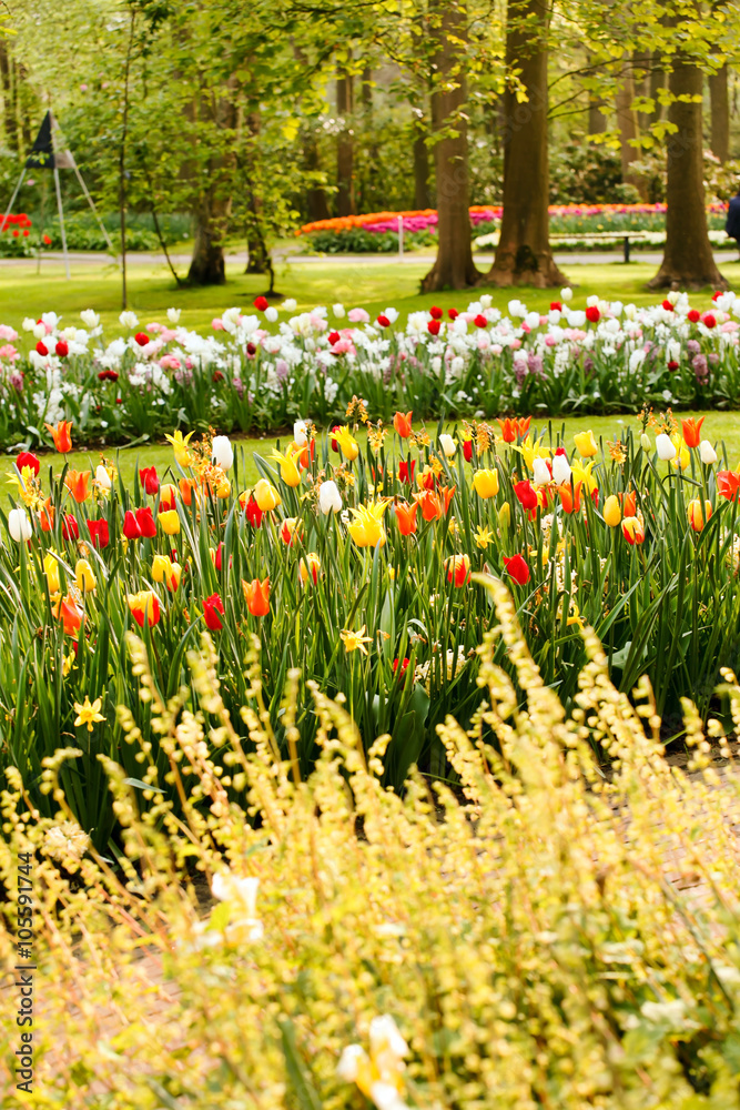 spring garden spring garden