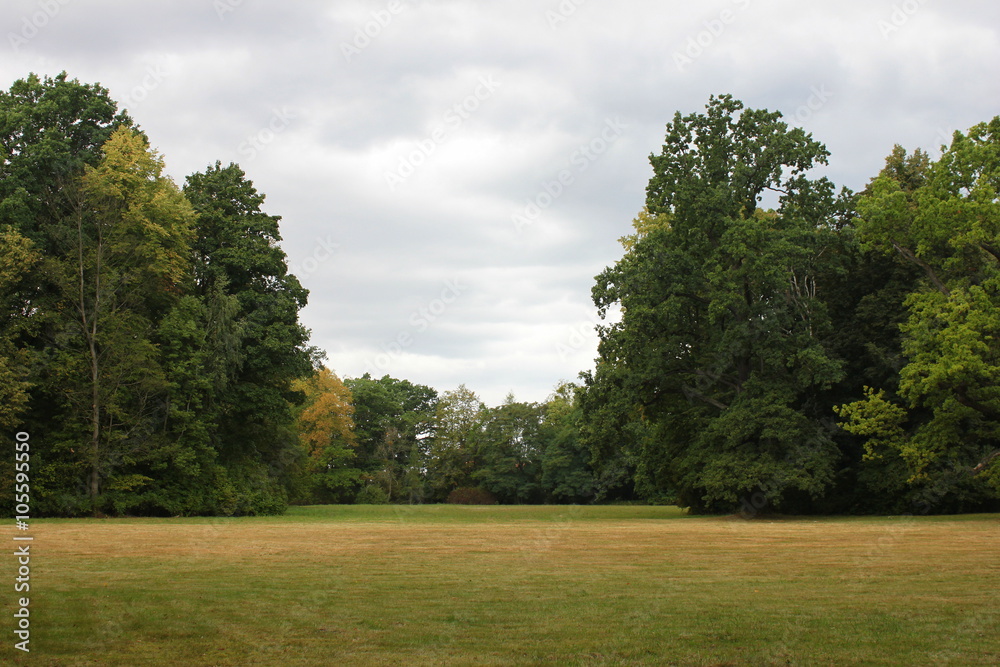 Fototapeta premium jesień