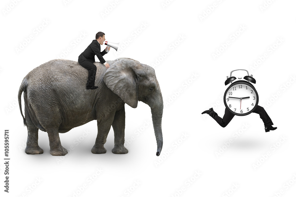 Fototapeta Man using speaker riding elephant after alarm clock