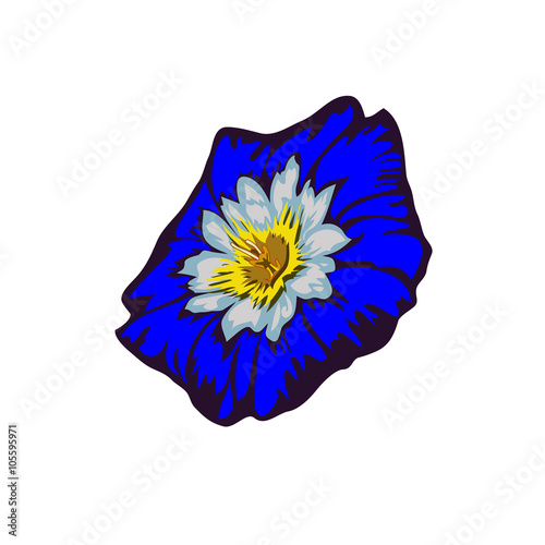 Flower Ipomoea 