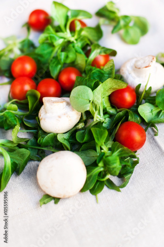 Fresh Vegetable Ingredients for the salad