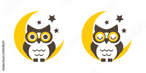 Owl cartoon on the moon vector