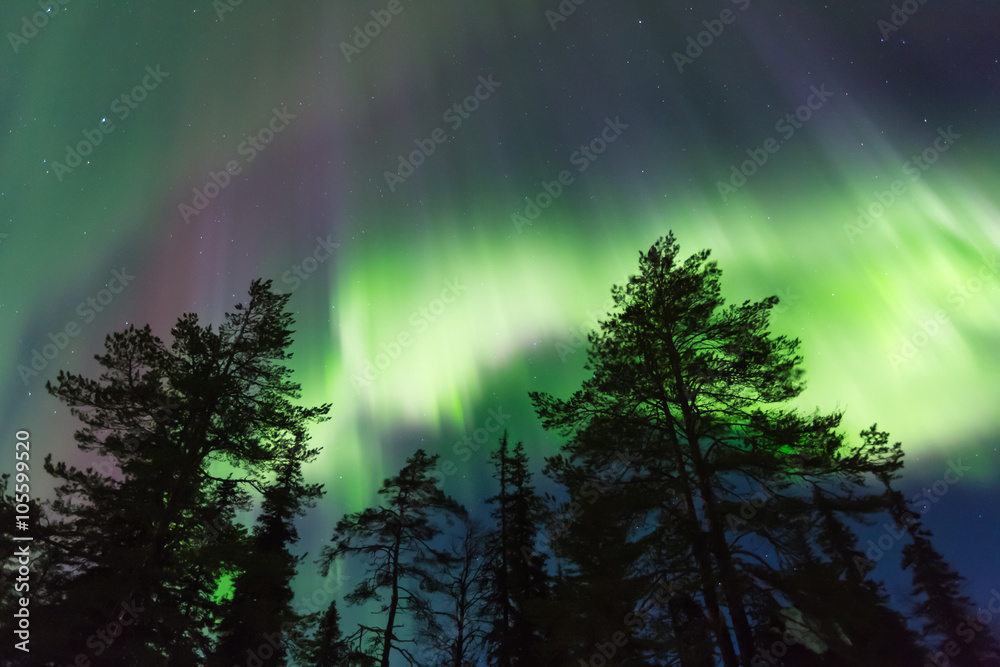Obraz premium Northern lights (Aurora borealis) in the sky