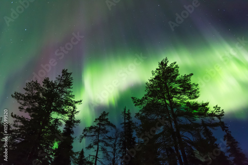 Northern lights (Aurora borealis) in the sky © petejau