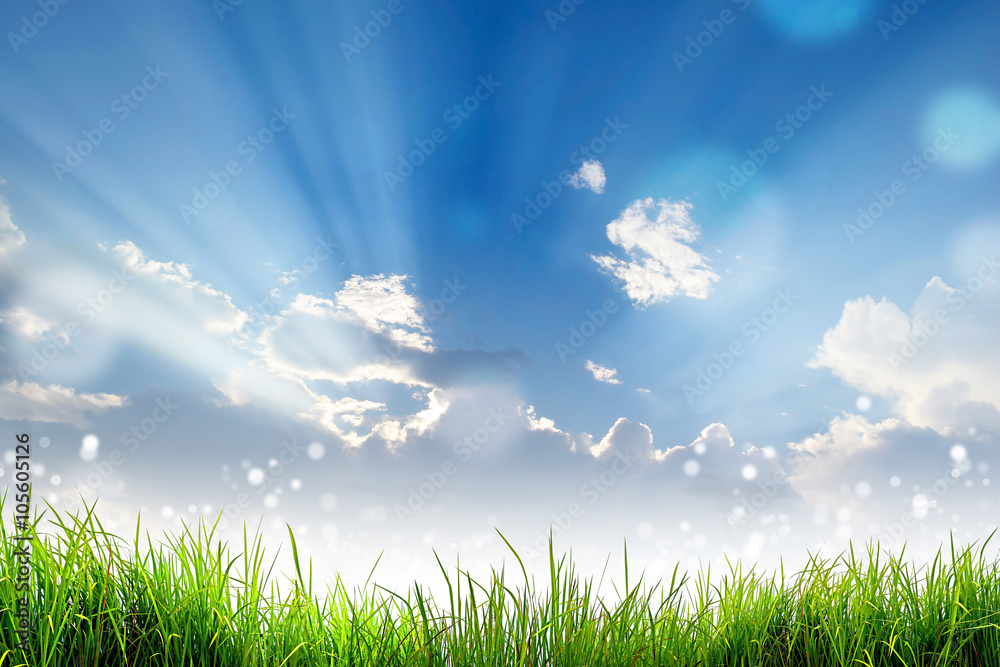 Green Grass and bokeh light sun and cloud sky
