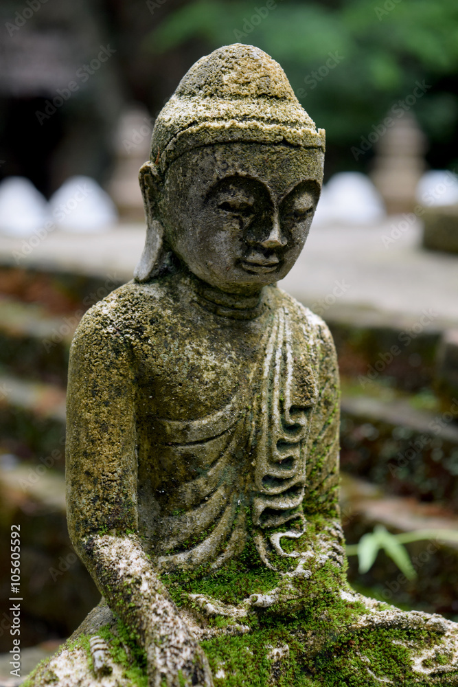 Stone Buddha statue  with moss  close up