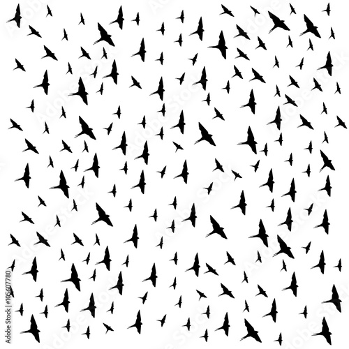 A flock of flying birds.