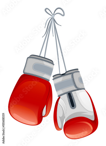 Boxing gloves