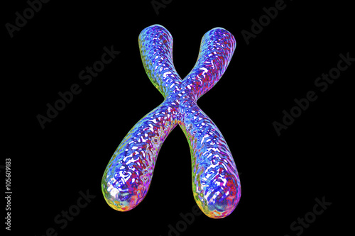 Human chromosome isolated on black background