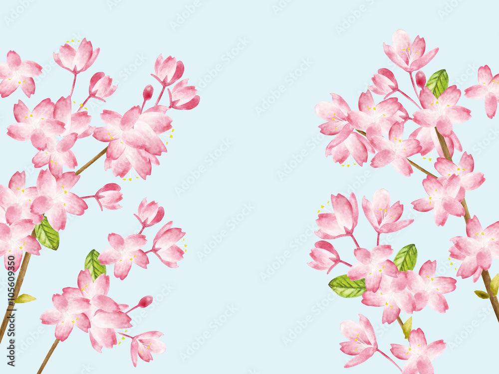 Spring Cherry blossoms Spring Cherry blossoms