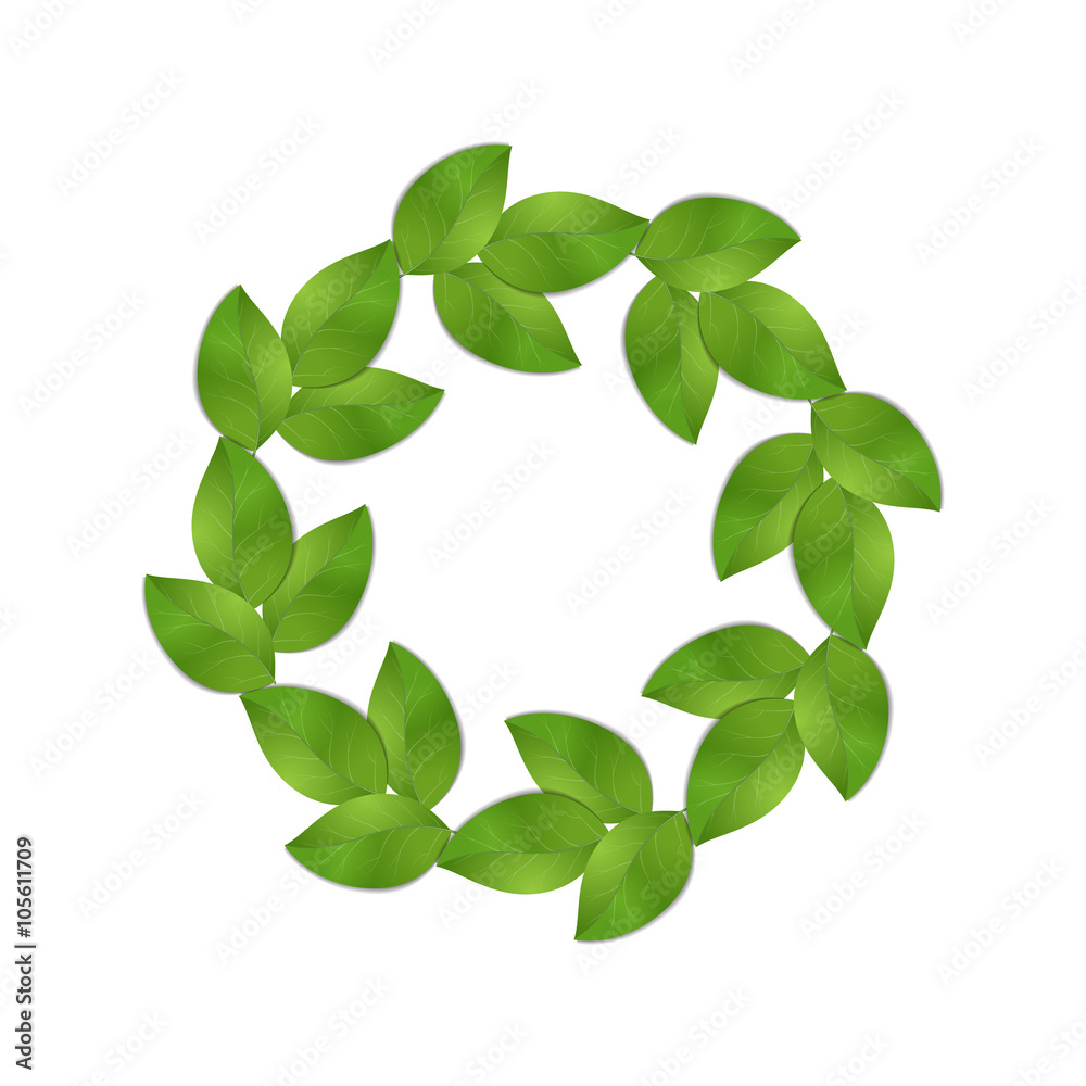 green leaves isolated green leaves isolated