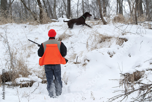 Man pheasant hunting with s chocolate Labrador Retriever