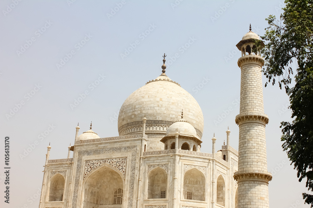 Closeup of beautiful monument Taj Mahal