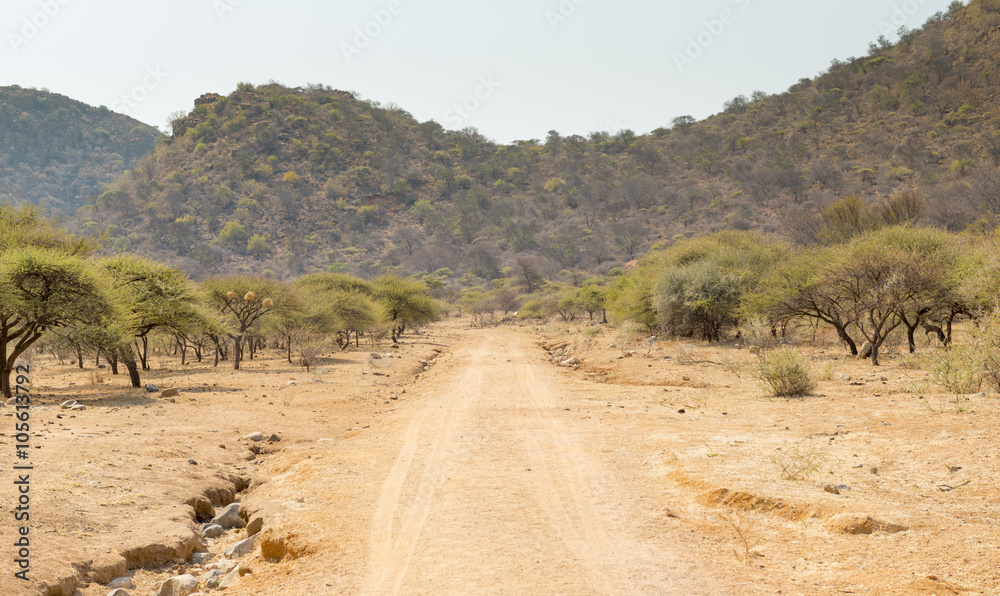 Botswana Dirt Road