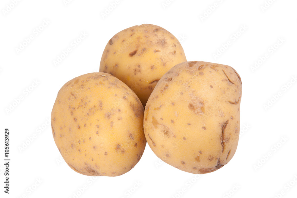 potatoes isolated on a white background potatoes isolated on a white background
