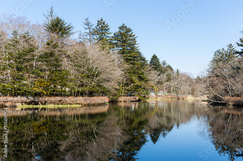 Pond in karuizawa
