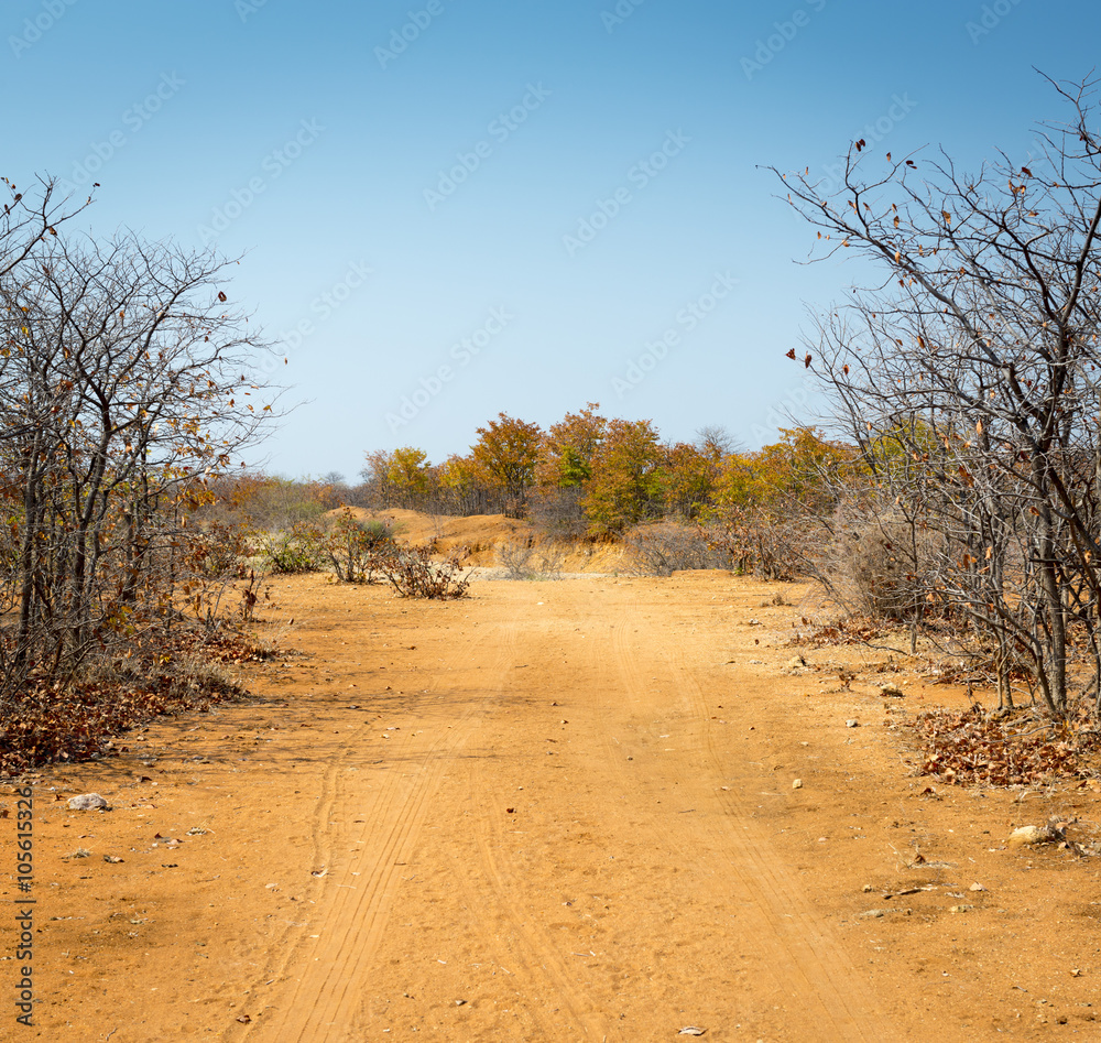 Botswana in Autumn