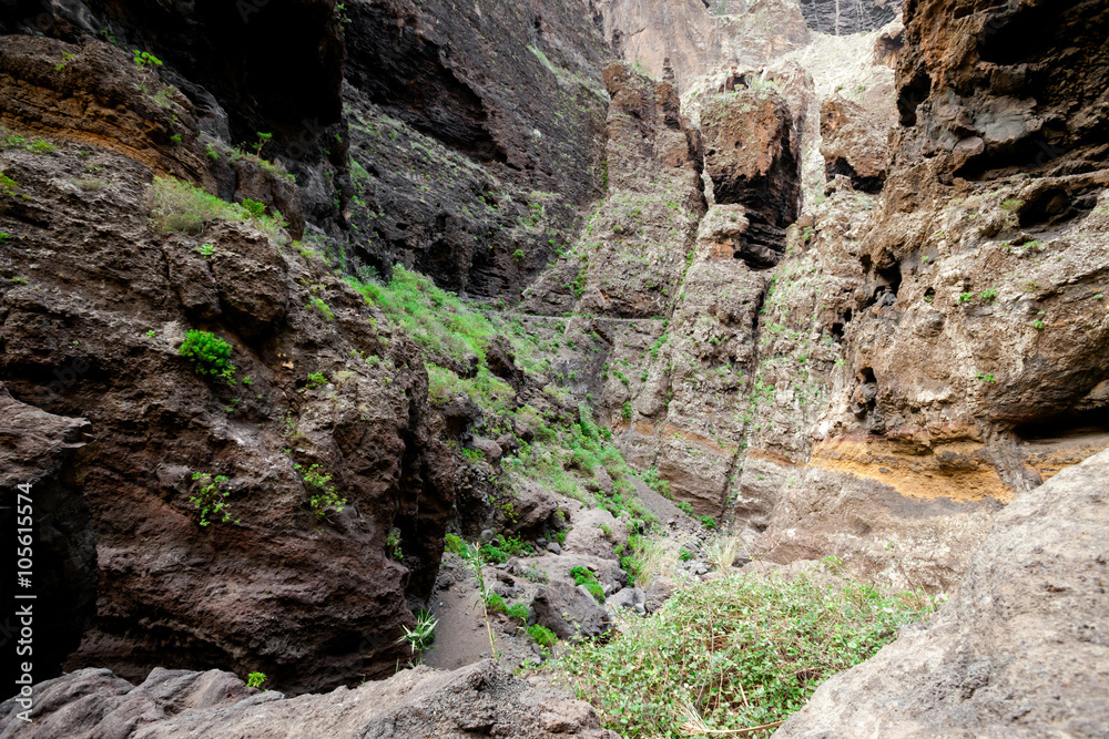Obraz premium Beautiful Tenerife landscape - Masca Valley