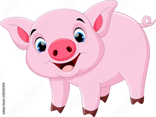 Cute pig cartoon