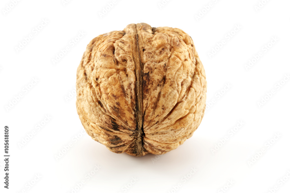 walnut 