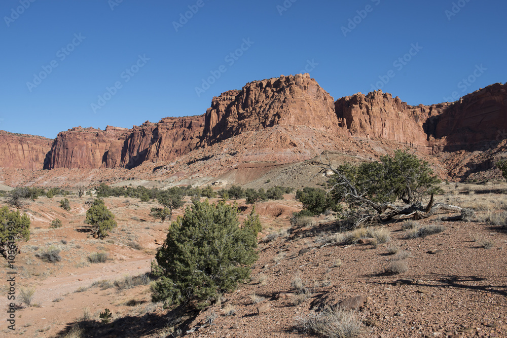 Desierto de rocas coloradas, Utah, USA Desierto de rocas coloradas, Utah, USA