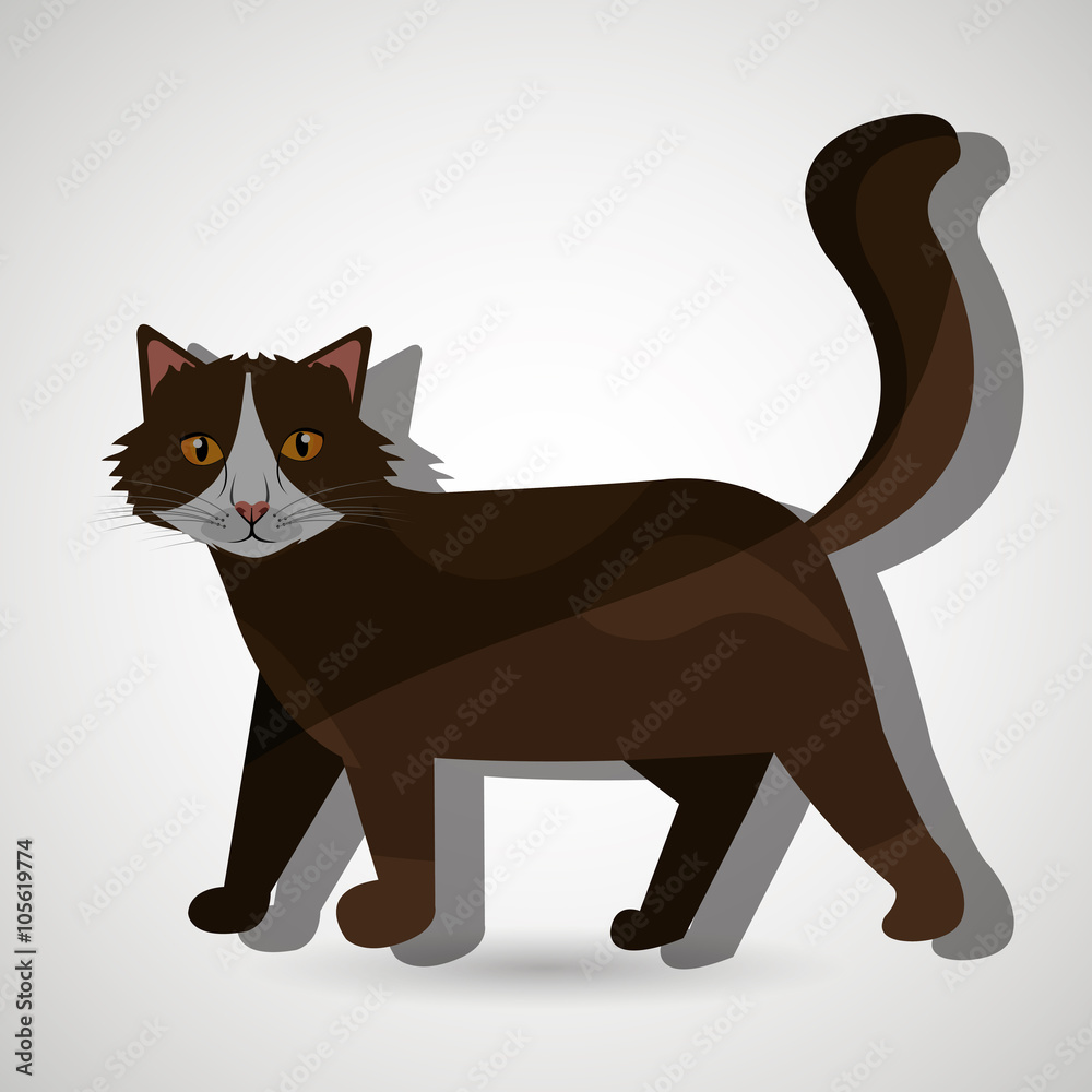 cute cat design cute cat design