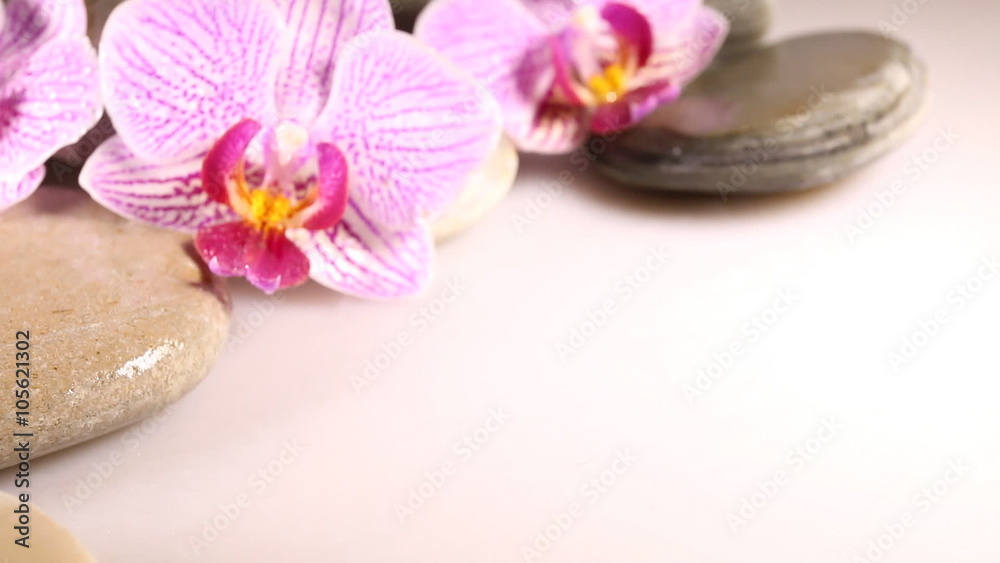 Spa still life with pink orchid and white zen stones. Macro shot. Spa still life with pink orchid and white zen stones. Macro shot.
