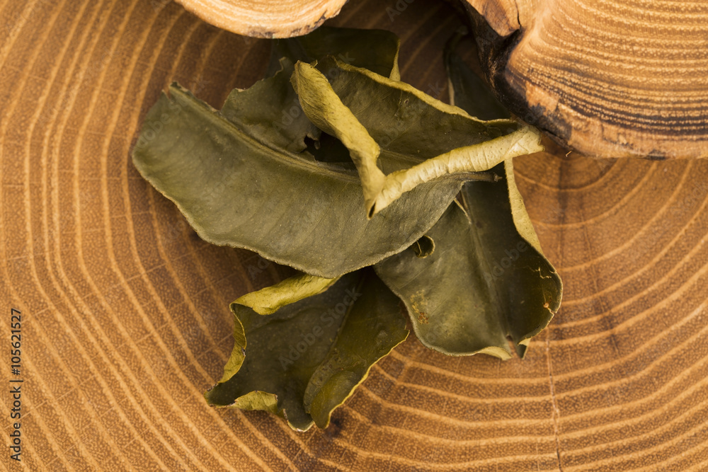 Fototapeta premium Cassia leaves