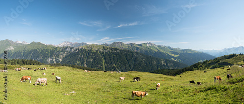 Billede på lærred Panoramic landscape with cows grazing on a green alpine meadow