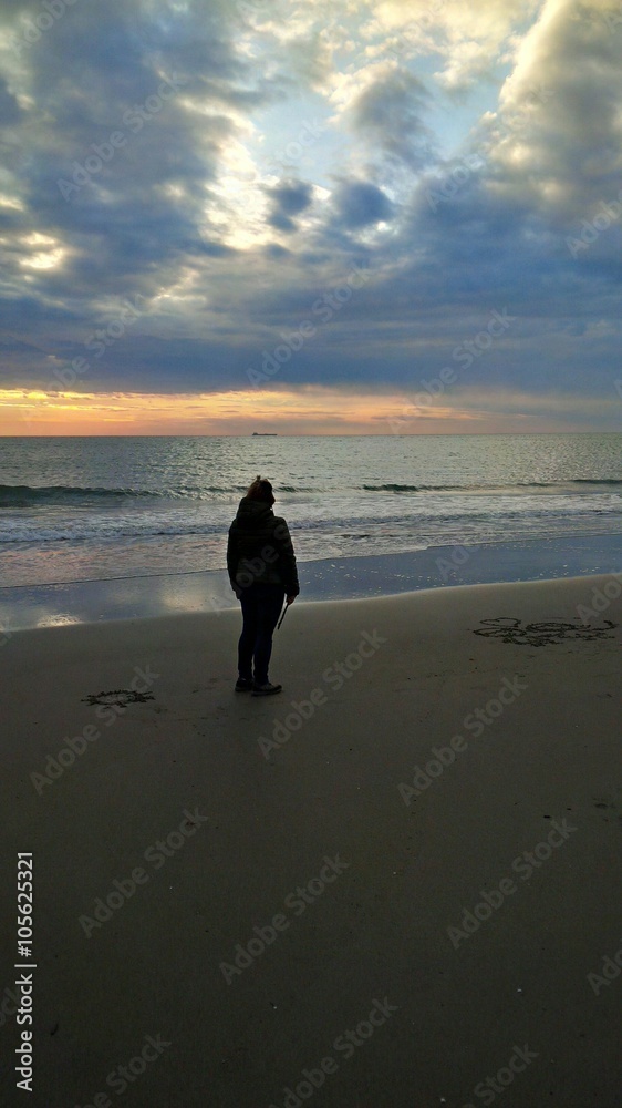 Naklejka premium ammirare l'orizzonte