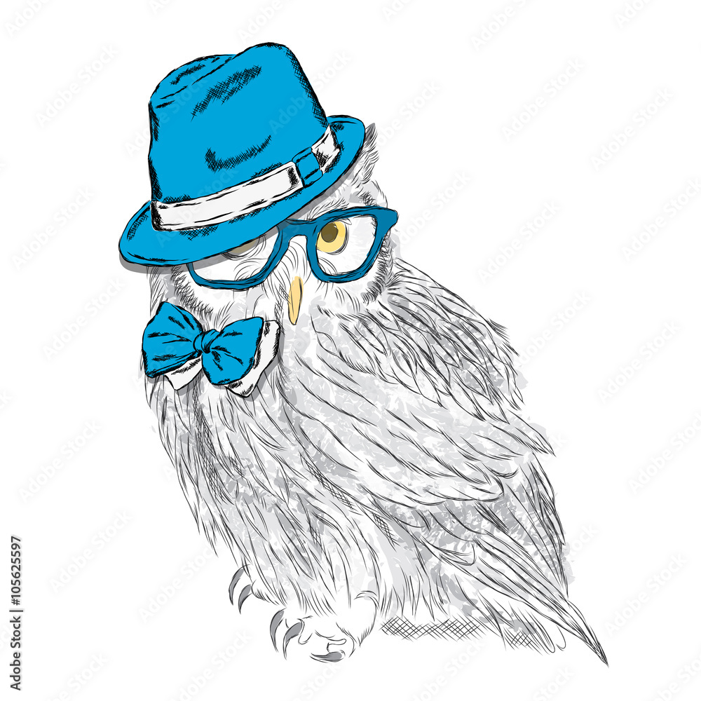 Owl wearing a hat and sunglasses . Owl - hipster . Fashion & Style. Print . Hipster. Bird vector . Painted owl . Cute owl . 