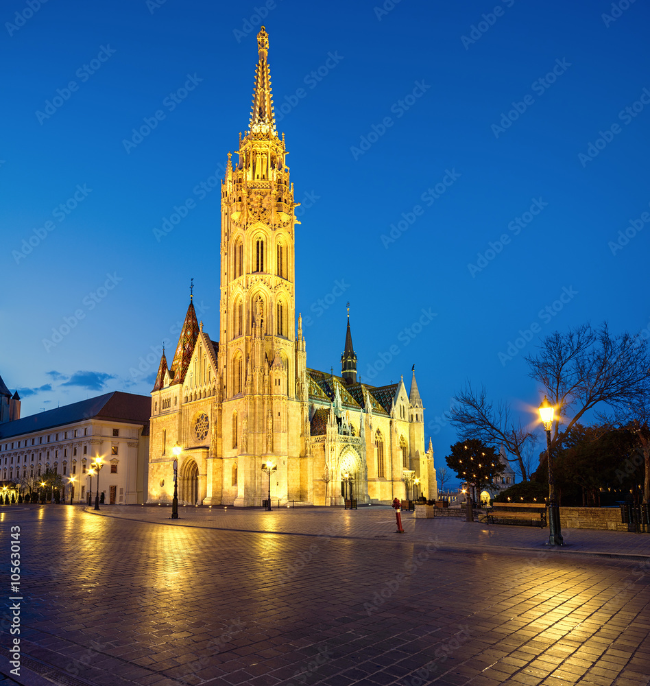 Fototapeta premium Matthias church and Statue of Holy Trinity in Budapest, Hungary
