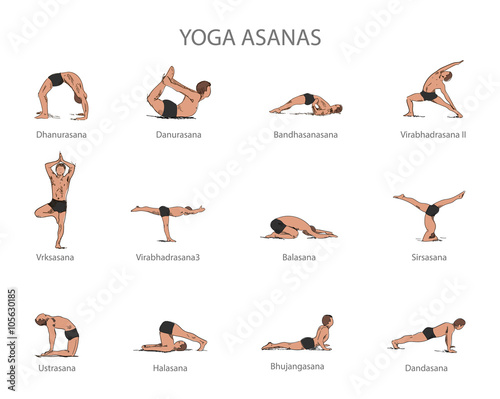 Vector set of yoga poses isolated on white background. Human body stretching positions. Asana concept