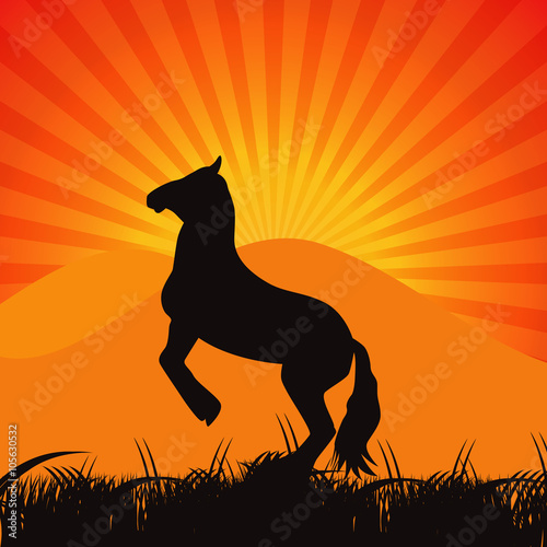 Black Horse Silhouette Vector Illustration