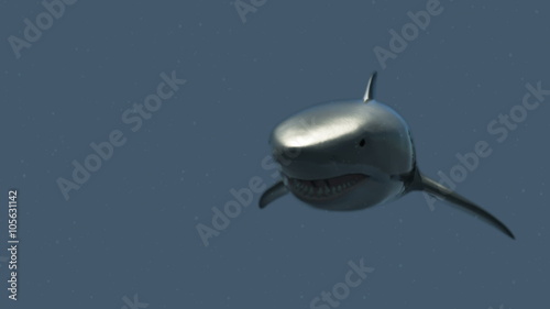 The Great White Shark in the Ocean 3D Animation photo