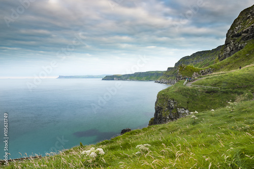 Scenic coastal view along pathway out to Carrick-a-rede rope bridge, Northern Ireland
