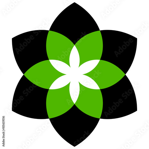 Geometric flower or generic motif isolated on white