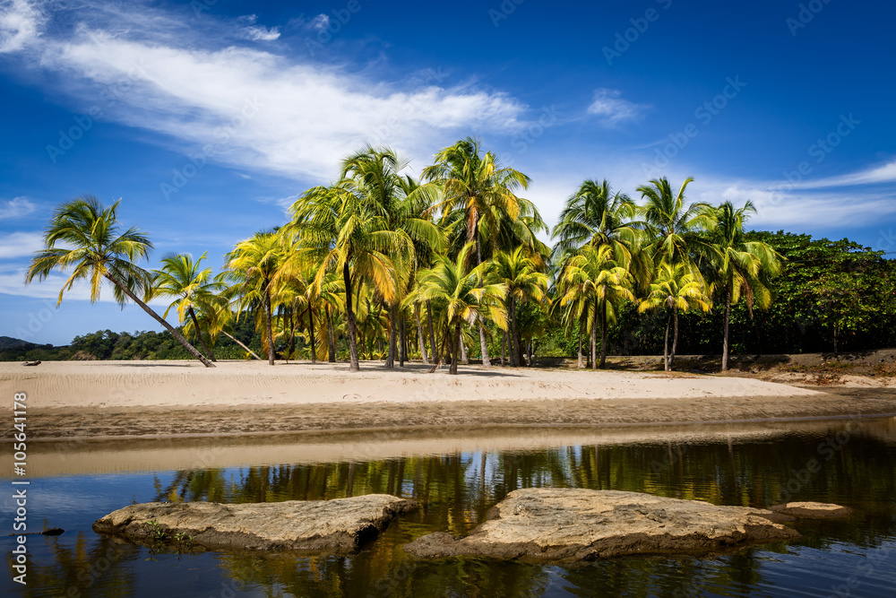 Palm trees on the Carrillo beach